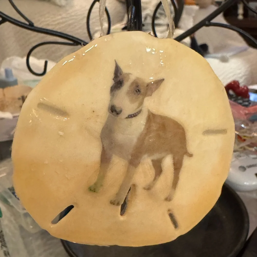 Bull terrier sand dollars custom made custom made! This one is 12$ custom 25$!